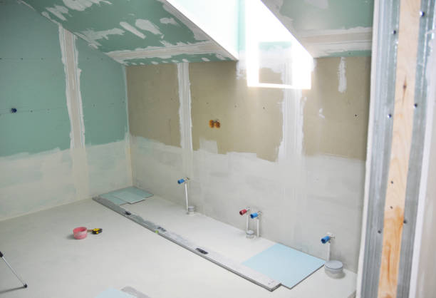 Best Real Estate Mold Inspection  in Chevy Chase View, MD