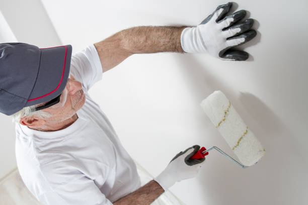 Best Attic Mold Removal  in Chevy Chase View, MD