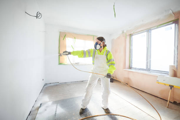 Best Basement Mold Removal  in Chevy Chase View, MD