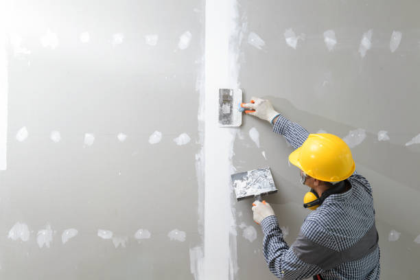 Best Water Damage & Mold Remediation  in Chevy Chase View, MD