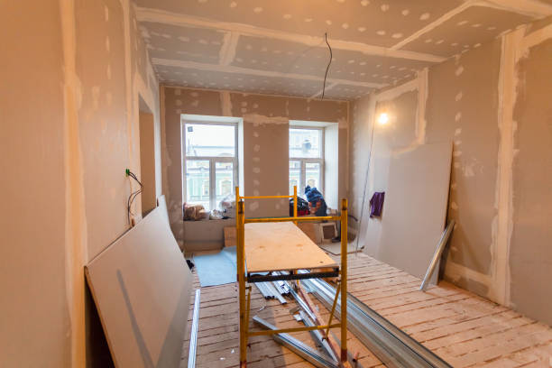 Chevy Chase View, MD Mold Removal Company