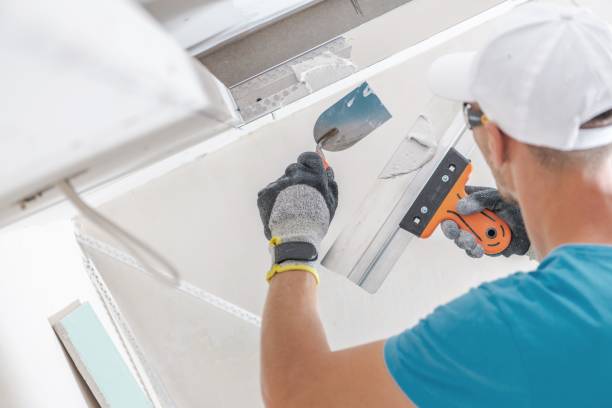 Best Airborne Mold Testing  in Chevy Chase View, MD